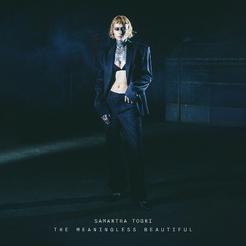 The Meaningless Beautiful (2026)