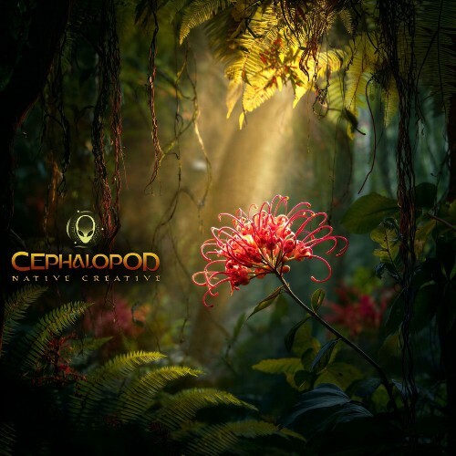 Cephalopod - Native Creative (2026) Cephalopod - Native Creative (2026)