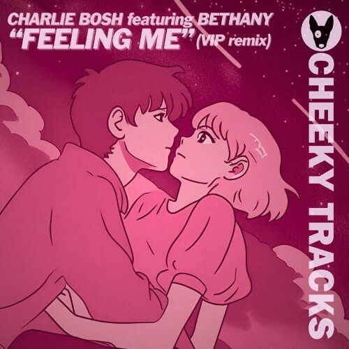  Charlie Bosh feat Bethany - Feeling Me (VIP remix) (2024) 