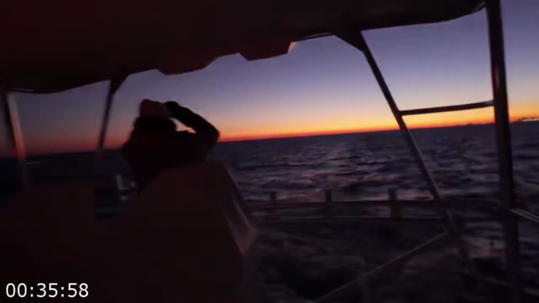 [Image: ME17L81X_o.png]