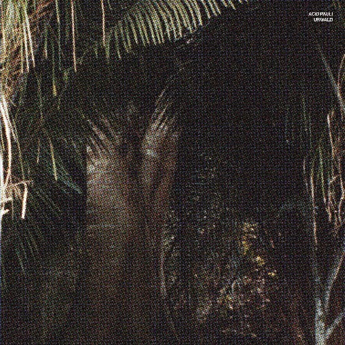 Acid Pauli - Urwald (2026) Acid Pauli - Urwald (2026)