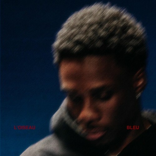  Steve Ibrahim - L'oiseau Bleu (2026) 