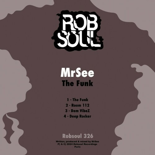  MrSee - The Funk (2024) MP3 METUQ4T_o