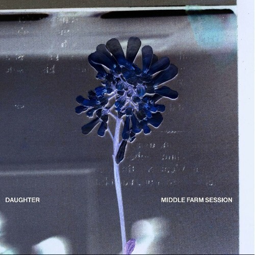  Daughter - Middle Farm Session (2025) 