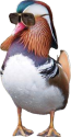 ME163OTO_o.png
