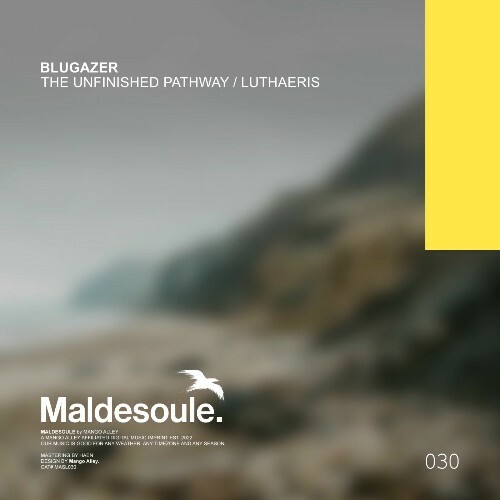  Blugazer - The Unfinished Pathway / Luthaeris (2025) 