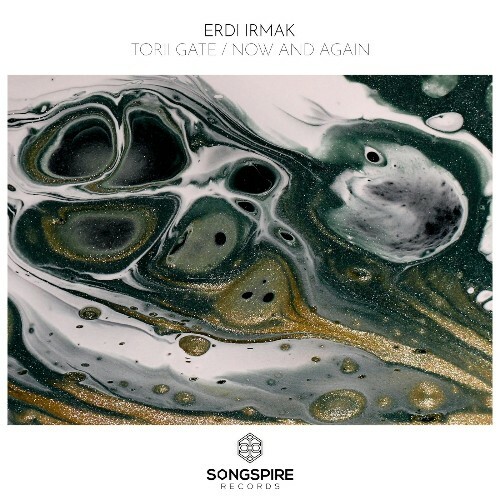  Erdi Irmak - Torii Gate / Now and Again (2025) 