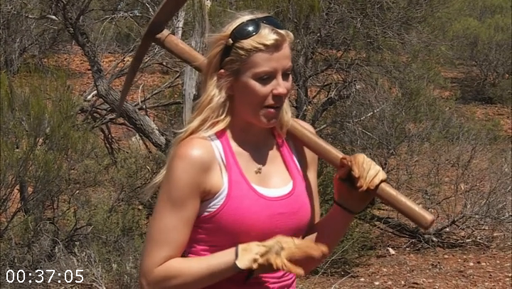 [Kép: ME1CJQTP_o.png]