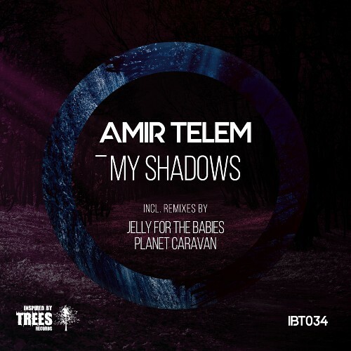  Amir Telem - My Shadows (2024) 