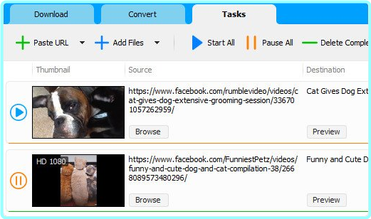 Social Media Downloader 8.0.3 (x64) – (146 MB) Social Media Downloader 8.0.3 (x64) – (146 MB)