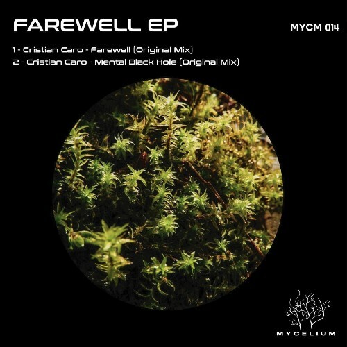  Cristian Caro - Farewell (2024) 