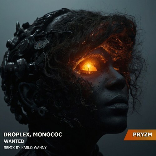  Droplex & Monococ - Wanted (2025) 