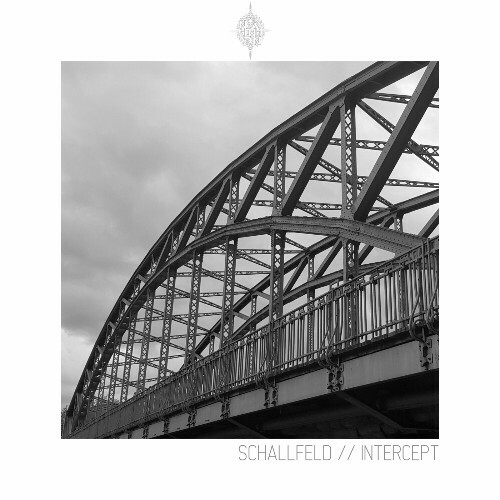 VA - Schallfeld - Intercept (2024) (MP3)