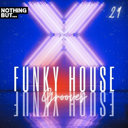  Nothing But... Funky House Grooves, Vol. 29 (2025) 