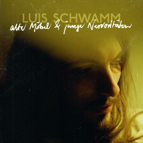  Luis Schwamm - Alte Moebel und junge Nervositaeten (2024) 