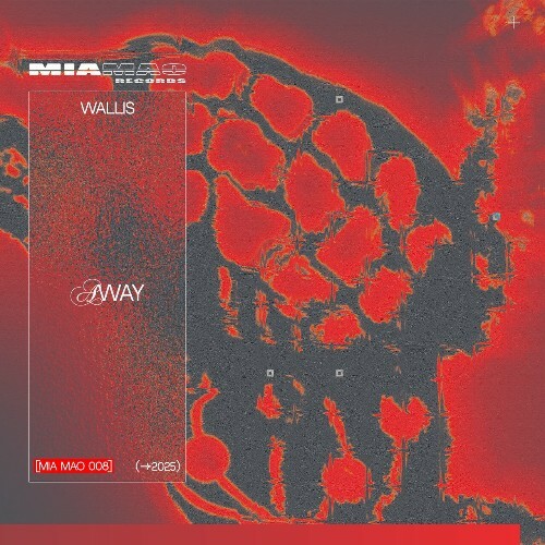  Wallis - AWAY (2025) 