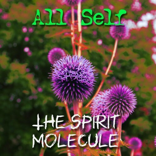 All Self - The Spirit Molecule (2023) 