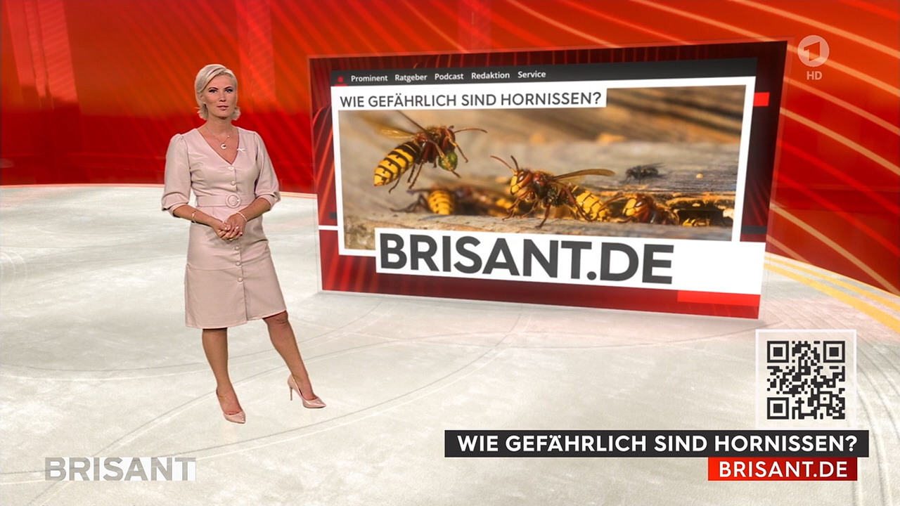 Kamilla_Senjo_-_Brisant_720p_2021_08_30.00_01_48_01.Standbild005.jpg