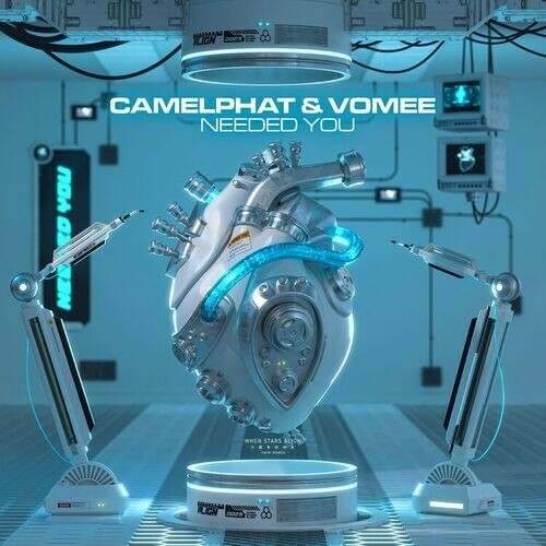  Camelphat & Vomee - Needed You (2025) 