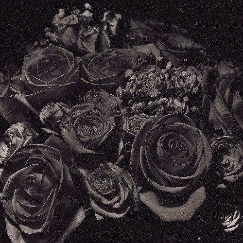  todays4cast - Petals (2025) 