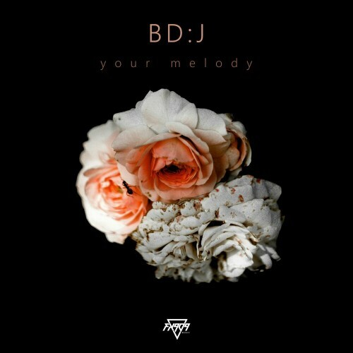  bd:j - Your Melody (2024) 