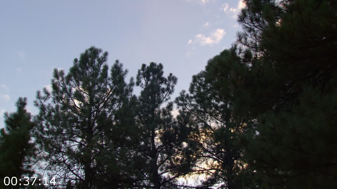 [Image: ME18154A_o.png]