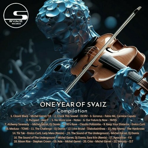  One Year of Svaiz Compilation (2024) 