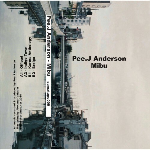 VA - Pee J Anderson - Mibu (2024) (MP3)