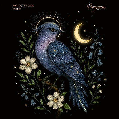  Artic White - Voce (2025) 