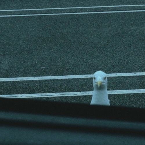  Little By Little and Sav-E - Proper Hammering (2026) 