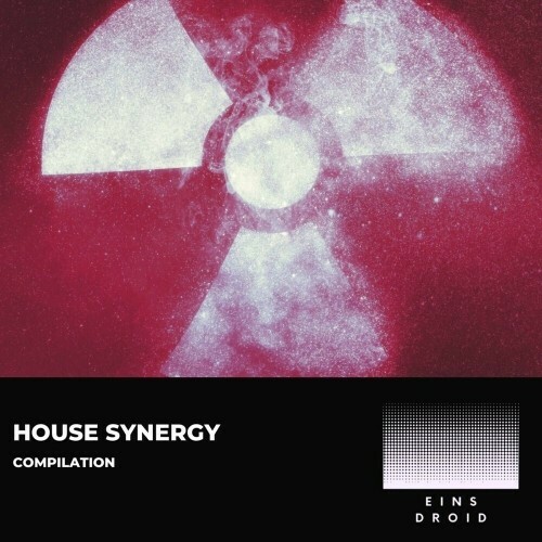  House Groove Six - House Synergy (2024) 