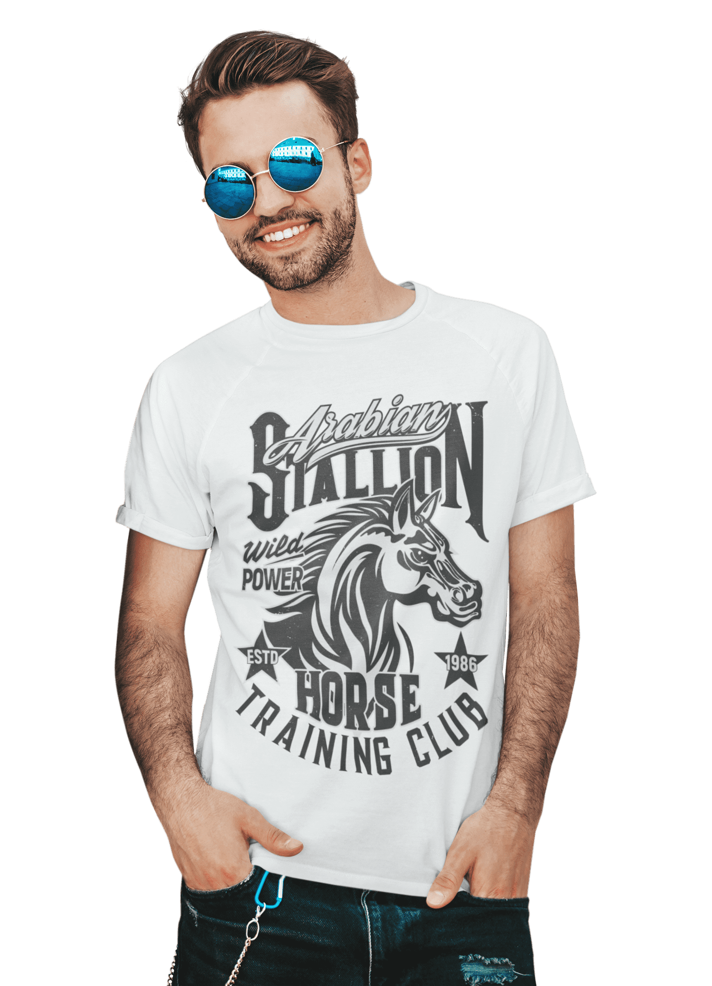 kaos arabian stallion