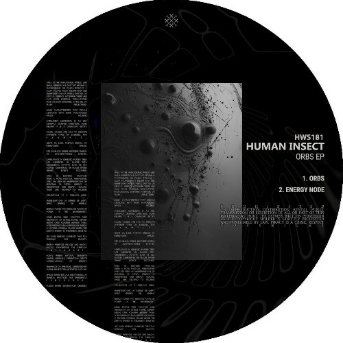 Human Insect - Orbs (2025) Human Insect - Orbs (2025)