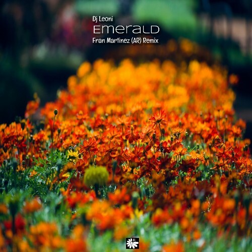  DJ Leoni - Emerald (Fran Martinez (AR) Remix) (2026) 