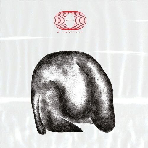  Zaliva-D - Curiosity (2026) 
