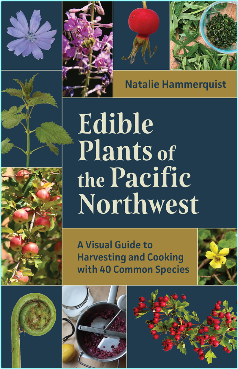 [Image: ME17167C_o.png]