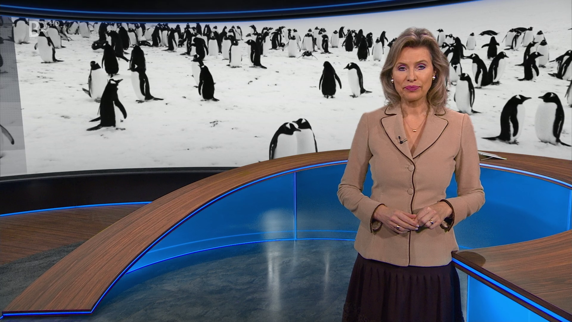 Anouschka Horn - °BR24° 13.02.2024 - 85X Caps_70.png