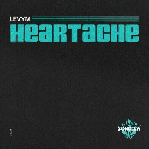  LevyM x Kash Neeve - Heartache (2024) 