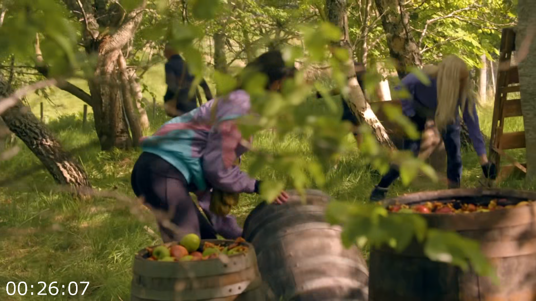 [Image: ME19BLB2_o.png]