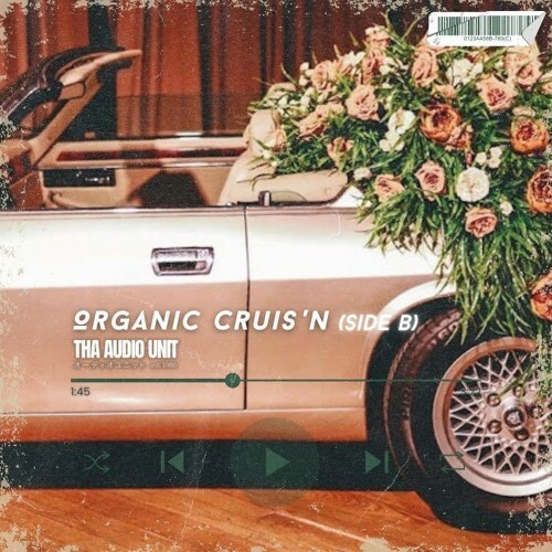 VA - Tha Audio Unit - Organic Cruis'n (Side B) (2023) (MP3)