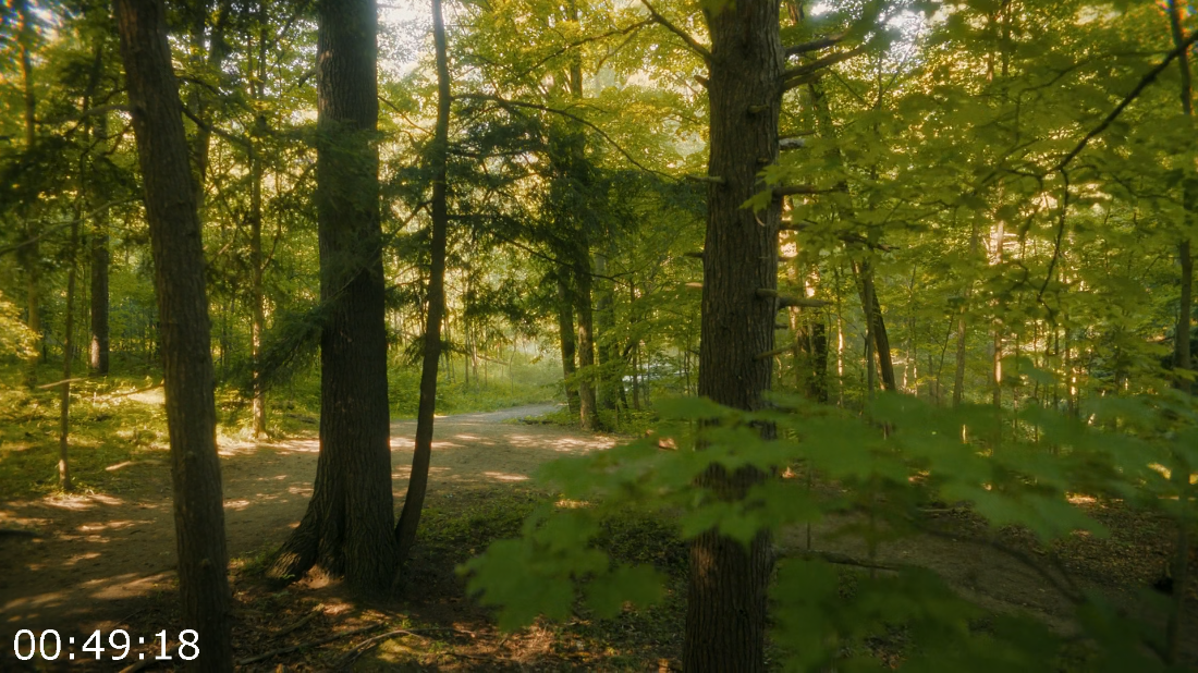 [Image: ME1814QI_o.png]