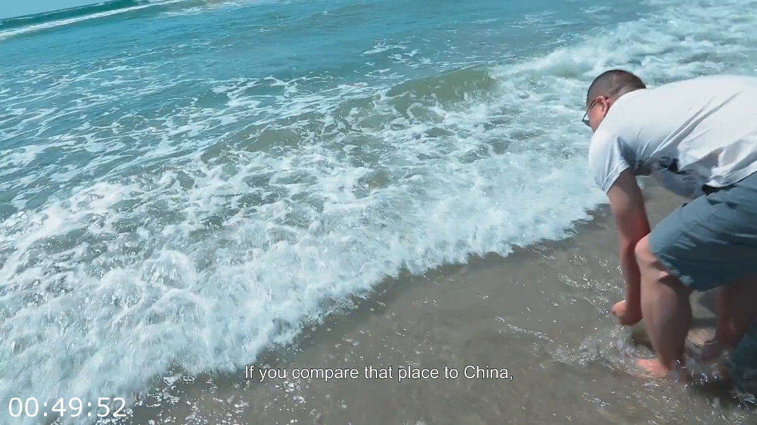 [Image: ME17448R_o.png]