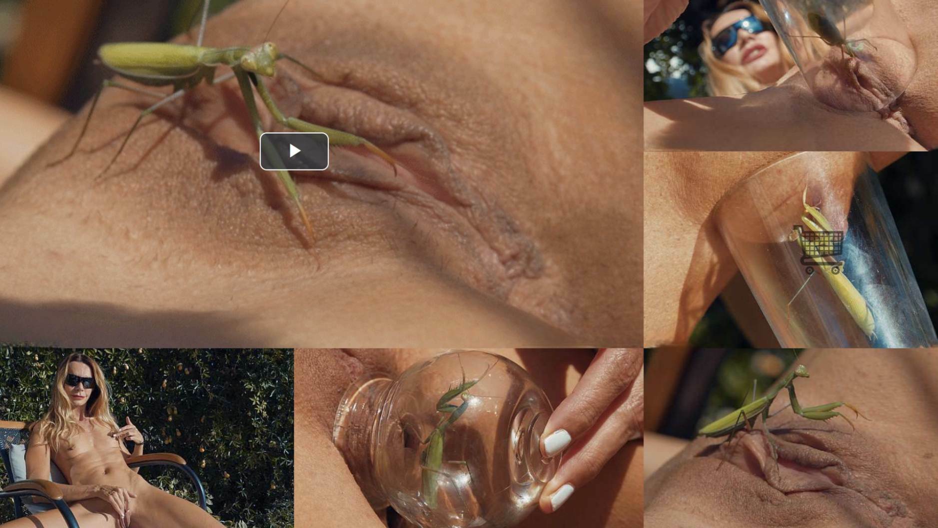 [视频][磁力链]ueensect蛇女王超级另类猎奇作品10部合集