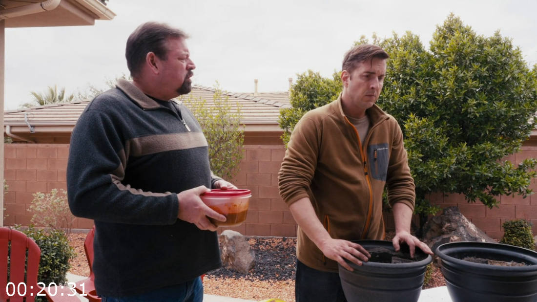 [Image: ME17SJHS_o.png]