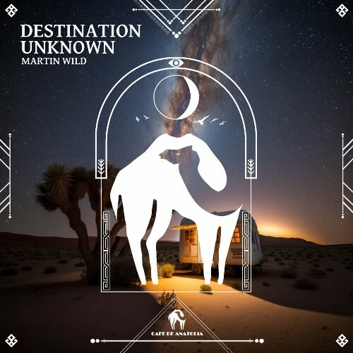  Martin Wild - Destination Unknown (2024) 