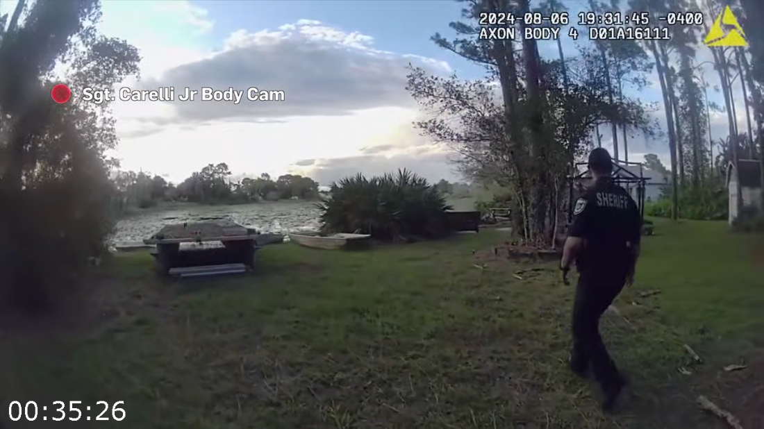 [Image: ME17POV3_o.png]