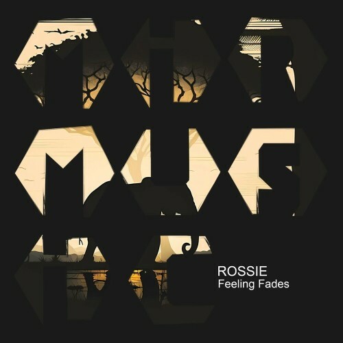  Rossie - Feeling Fades (2024) 