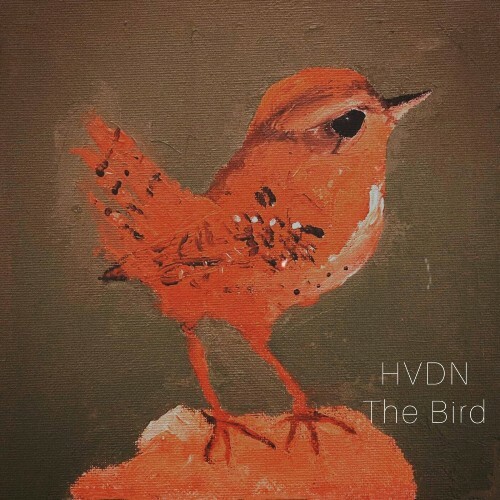 VA - Hvdn - The Bird (2024) (MP3)