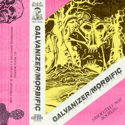  Galvanizer / Morbific (2024) 