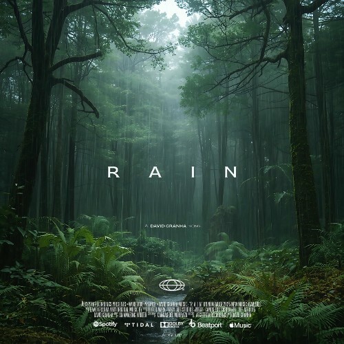  David Granha - Rain (2025) 